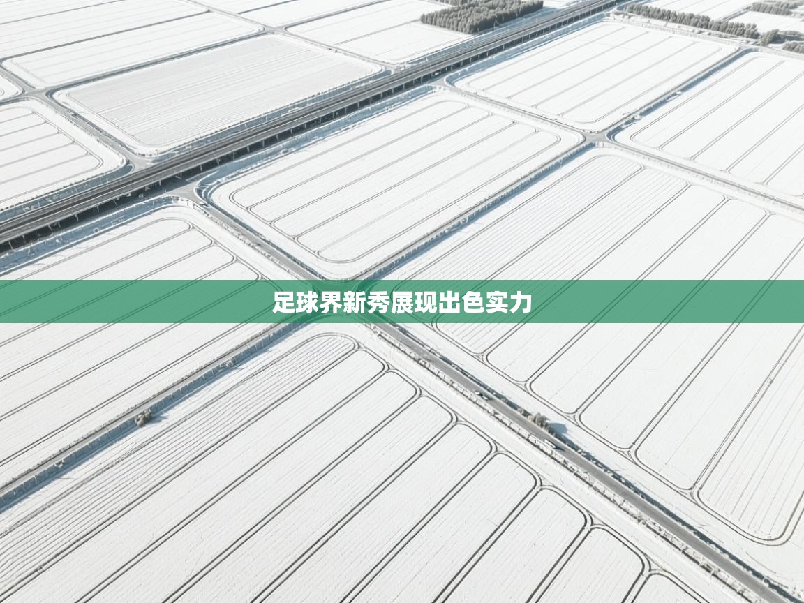 足球界新秀展现出色实力 第2张