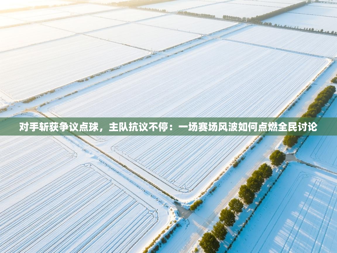 对手斩获争议点球，主队抗议不停：一场赛场风波如何点燃全民讨论  第1张